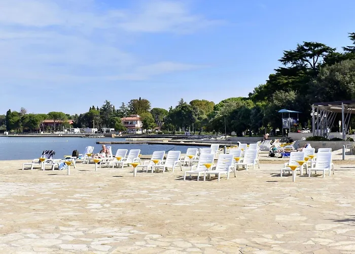 Alex 3 By Interhome Apartment