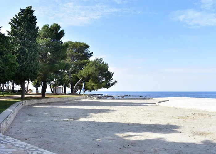 Alex 3 By Interhome Apartment